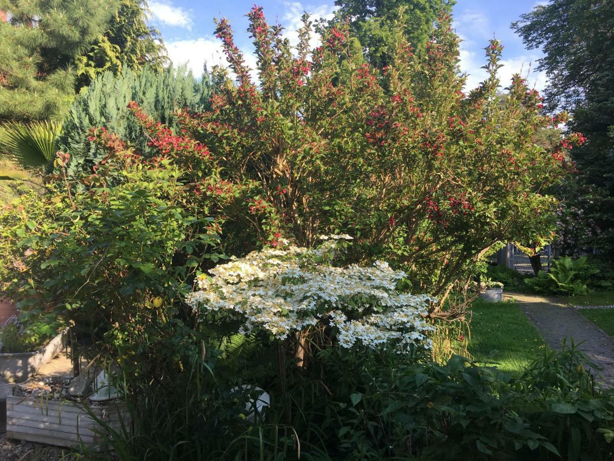 Apartment Tinyhouse Mit Pool, Outdoor Whirlpool Und Garten Petershagen-Eggersdorf 外观 照片
